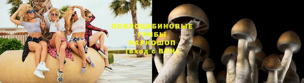 кокс Аркадак