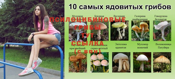 Альфа ПВП Армянск