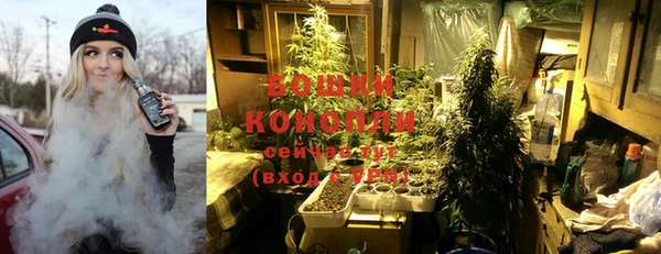 кокс Аркадак