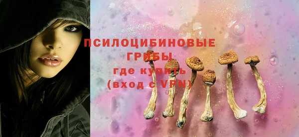 СК Арсеньев