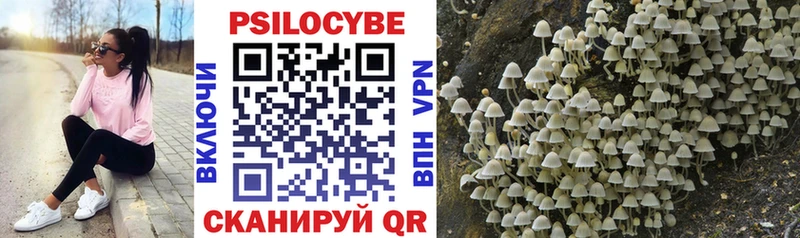 blacksprut как войти  мориарти наркотические препараты  Псилоцибиновые грибы Cubensis  Усмань 